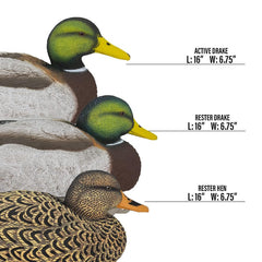 Higdon Outdoors Legacy Magnum Mallard rester drake decoy for consistent resting posture.