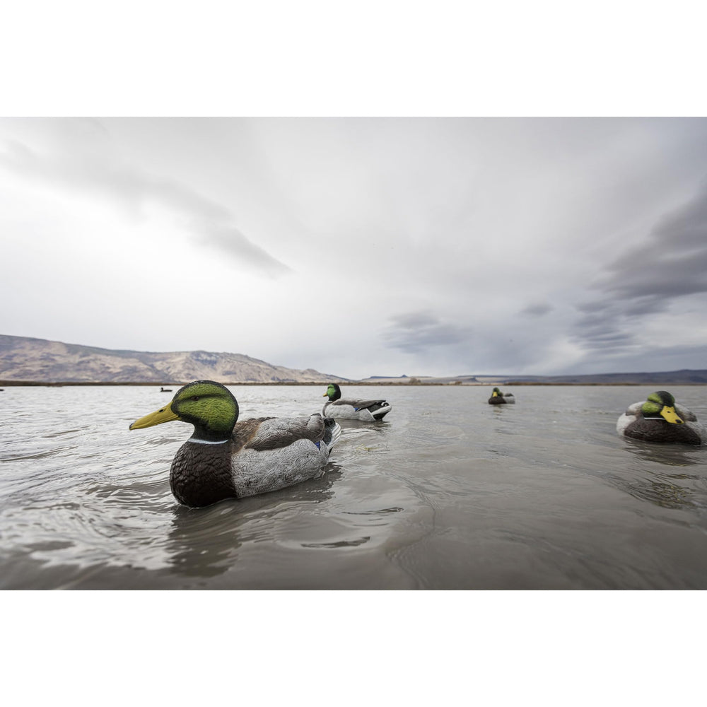 Higdon Outdoors Legacy Magnum Mallard non-flocked finish supports versatile setups.