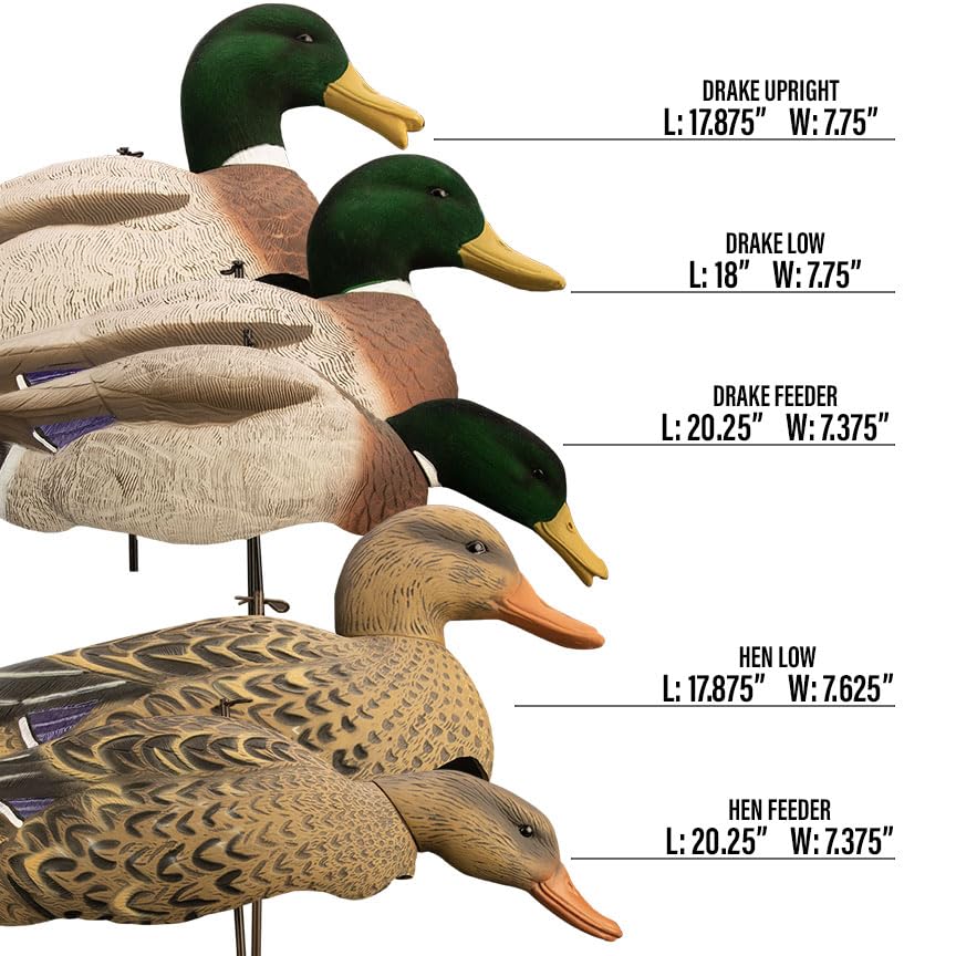 Higdon Outdoors Magnum full-form mallard decoy flocked head close-up highlights adjustable heads and realism