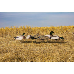 Higdon Outdoors Magnum full-form mallard decoys packaging displays 6 decoys and 6 stakes for easy transport