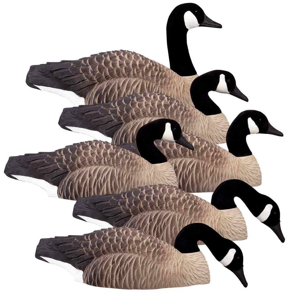 Higdon Outdoors Magnum Half Shell Canada Goose decoys assembled for a realistic spread