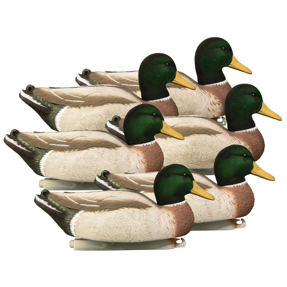 Higdon Outdoors Magnum Mallard decoy upright drake with high visibility for distant ducks