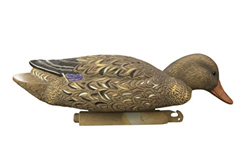 Higdon Outdoors Magnum Mallard floater demonstrates multiple postures in a single setup.