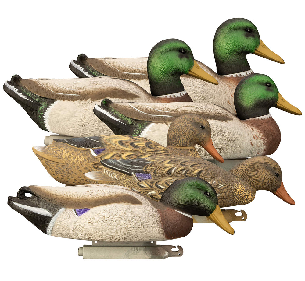 Higdon Outdoors Magnum Mallard floater with pose-down and lifelike feather detailing for waterfowl realism.
