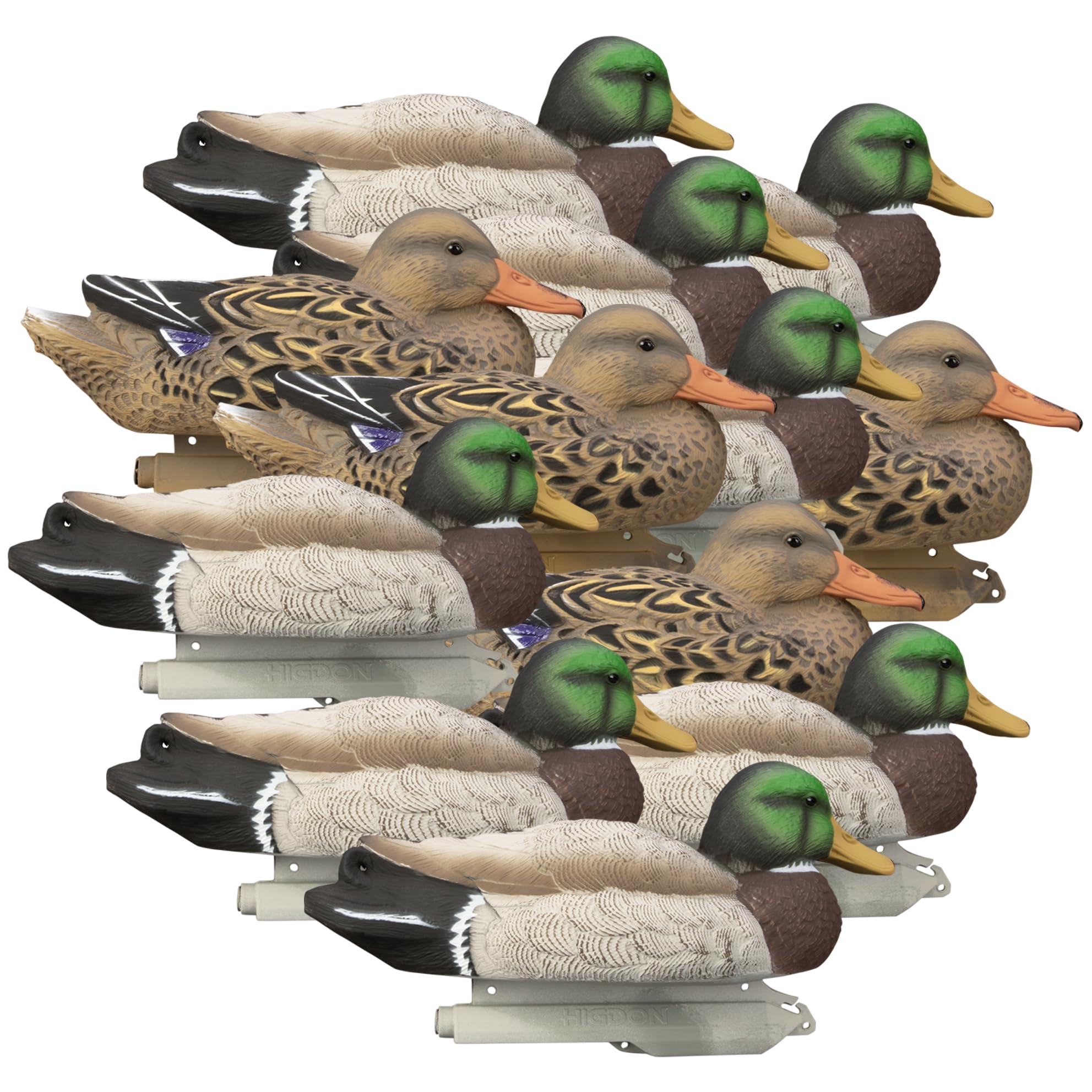 Higdon Outdoors Mallard Filler Pack assembled showcases ultra-realistic decoys for a larger, more visible spread