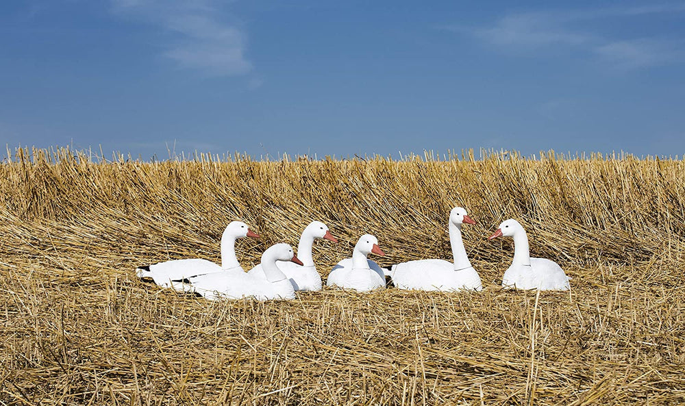 Higdon Outdoors six-pack packable decoys for quick field deployments