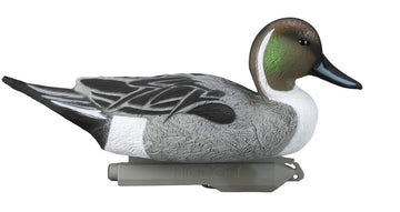 Higdon Outdoors Pintail Floater Hen Resting 01 balanced hen pose for flock realism