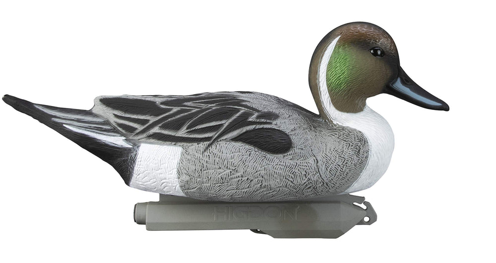 Higdon Outdoors Pintail Floater Hen Resting 01 balanced hen pose for flock realism