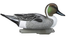 Higdon Outdoors Pintail Floater Hen Resting 01 balanced hen pose for flock realism