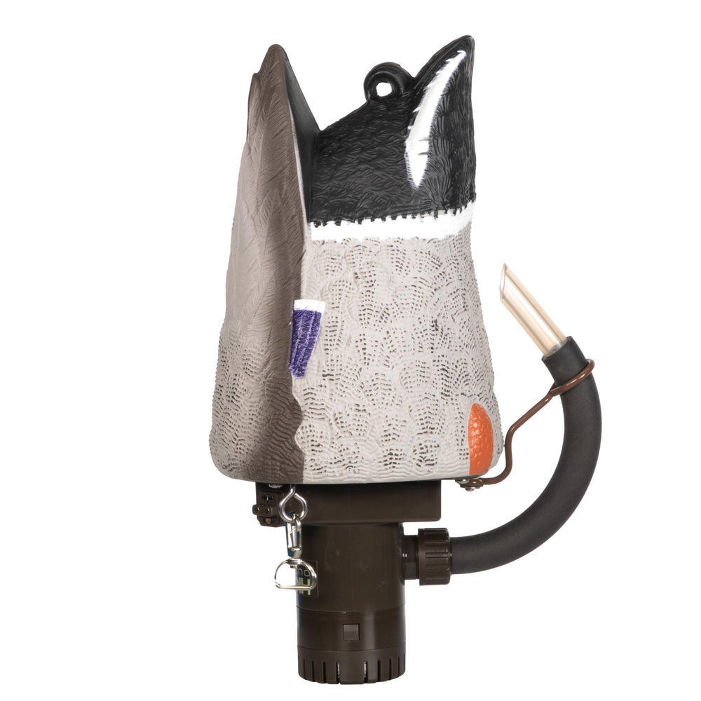Higdon Outdoors Pulsator Pro Mallard Drake spraying motion enhances realistic decoy action for duck hunting