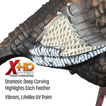 Higdon Outdoors quarter-strut Jake decoy with apex stake motion system adds subtle life to the display.