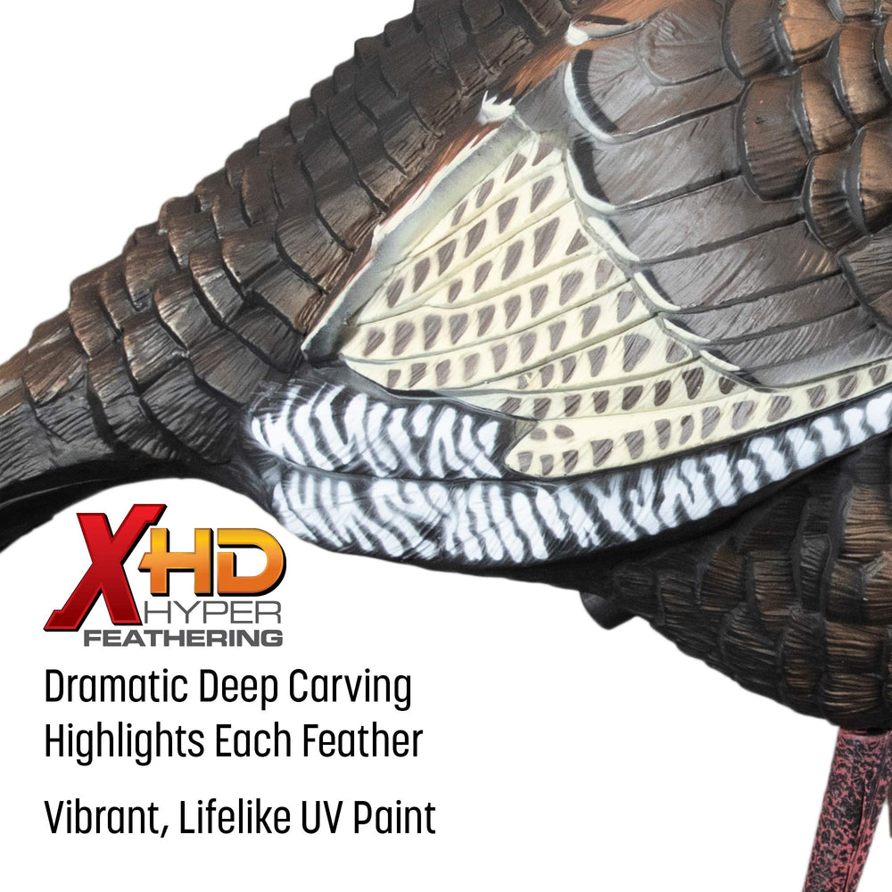 Higdon Outdoors quarter-strut Jake decoy with apex stake motion system adds subtle life to the display.