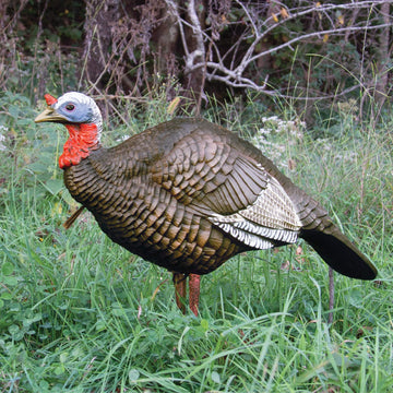 Higdon Outdoors quarter-strut Jake decoy provides increased visibility to draw wary gobblers.