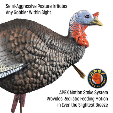 Higdon Outdoors quarter-strut Jake decoy features integrated stake storage for tidy transport.