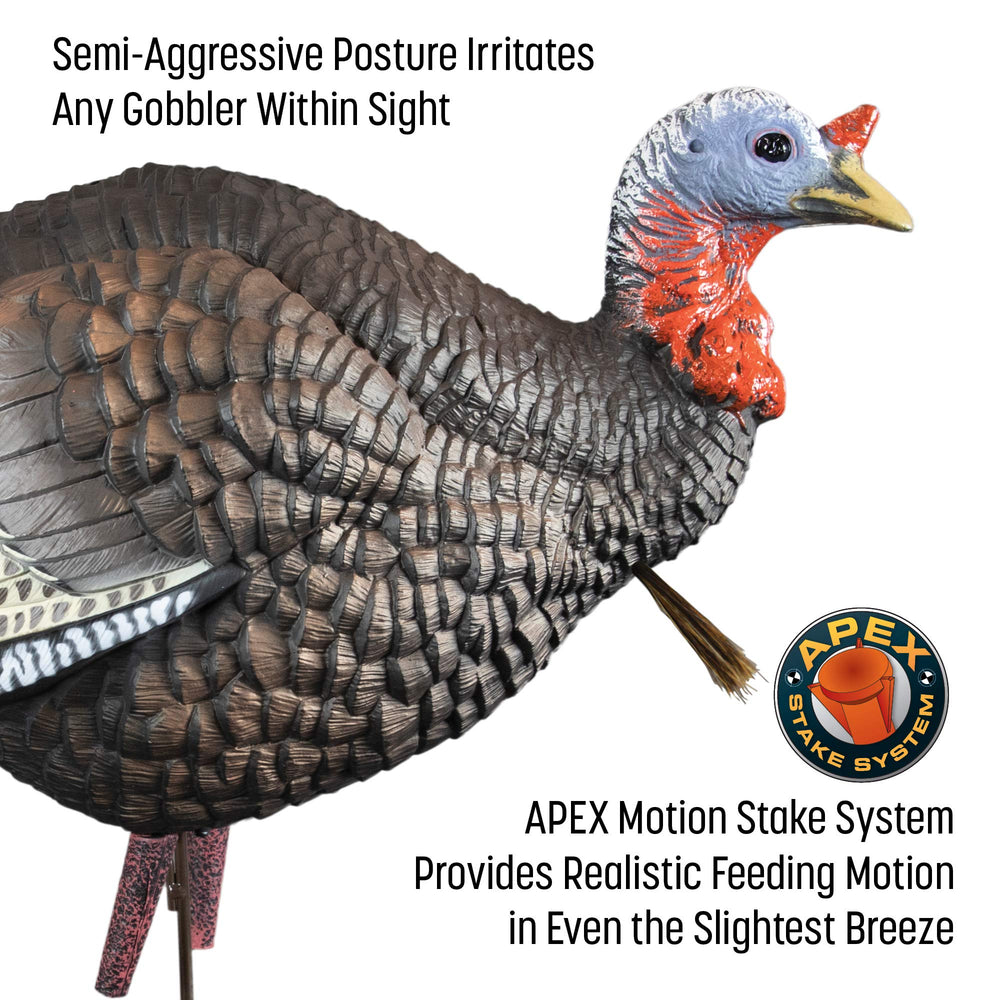 Higdon Outdoors quarter-strut Jake decoy features integrated stake storage for tidy transport.