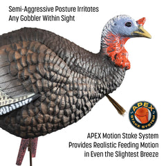 Higdon Outdoors quarter-strut Jake decoy features integrated stake storage for tidy transport.