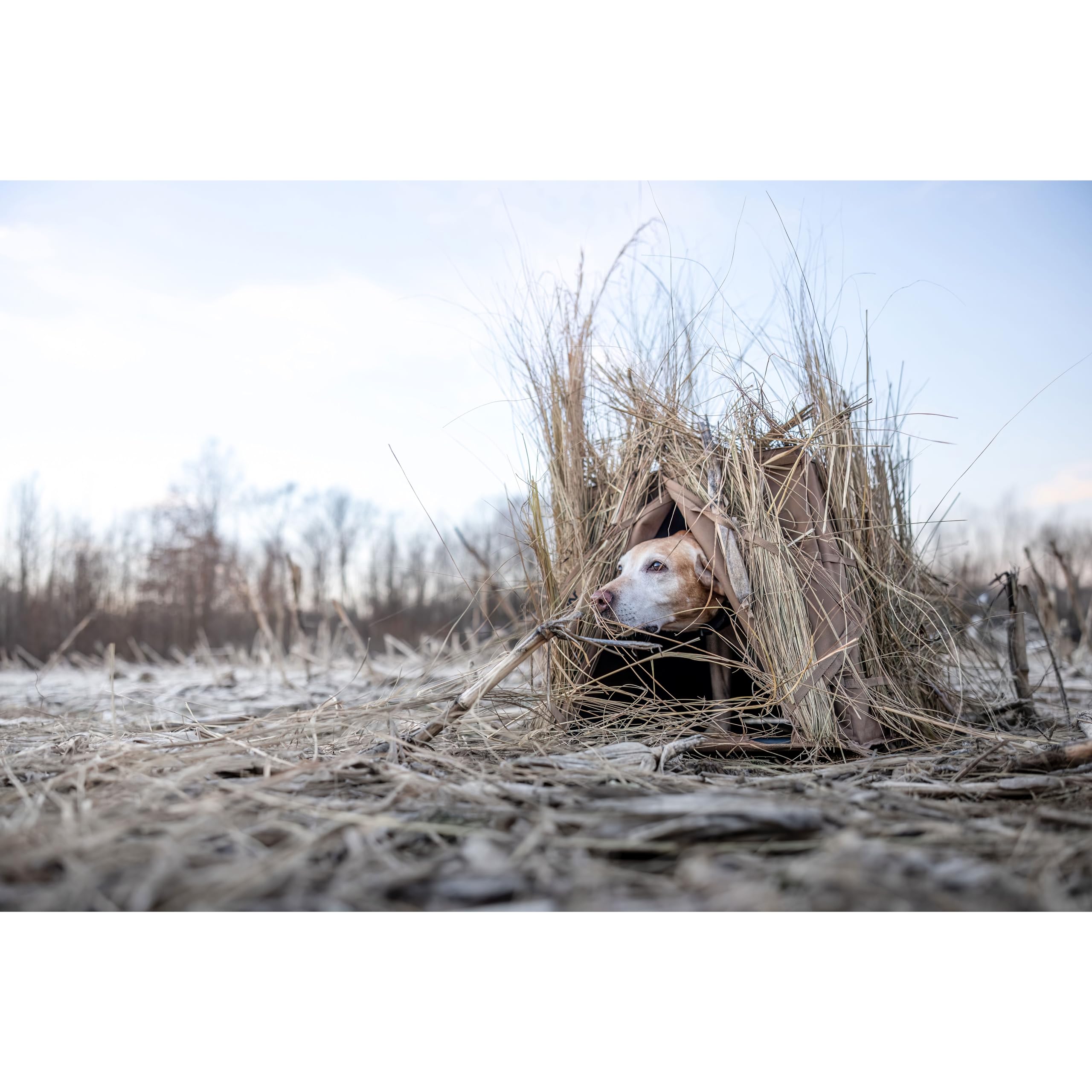 Higdon Outdoors Quick Draw Dog Blind shows stubble straps for quick brush-in concealment.