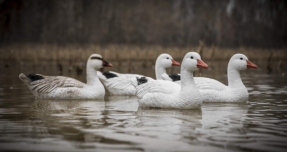 Higdon Outdoors snow goose decoy with removable heads for versatile posing