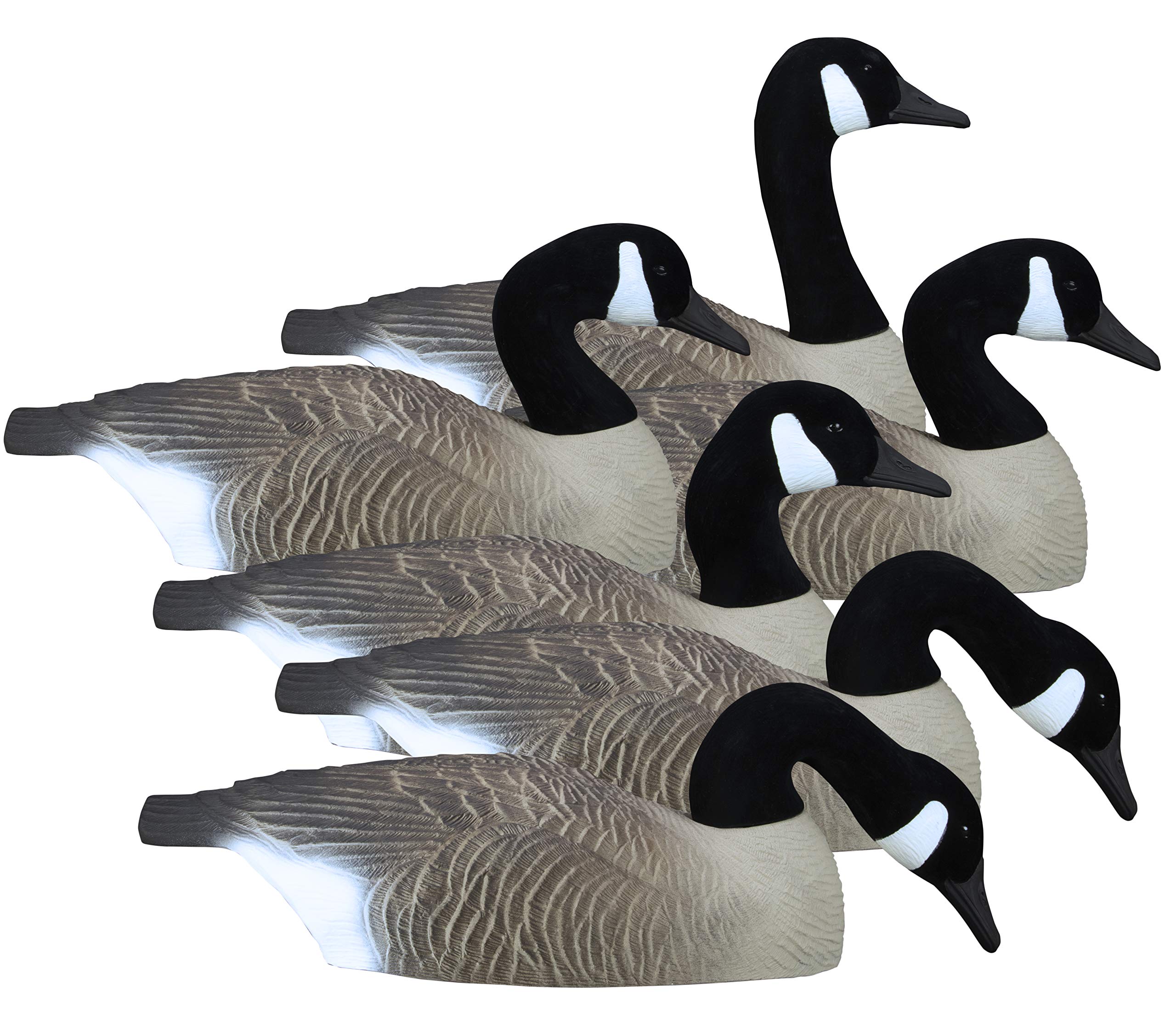 Higdon Outdoors removeable heads goose decoys 6pk customize poses for better setup