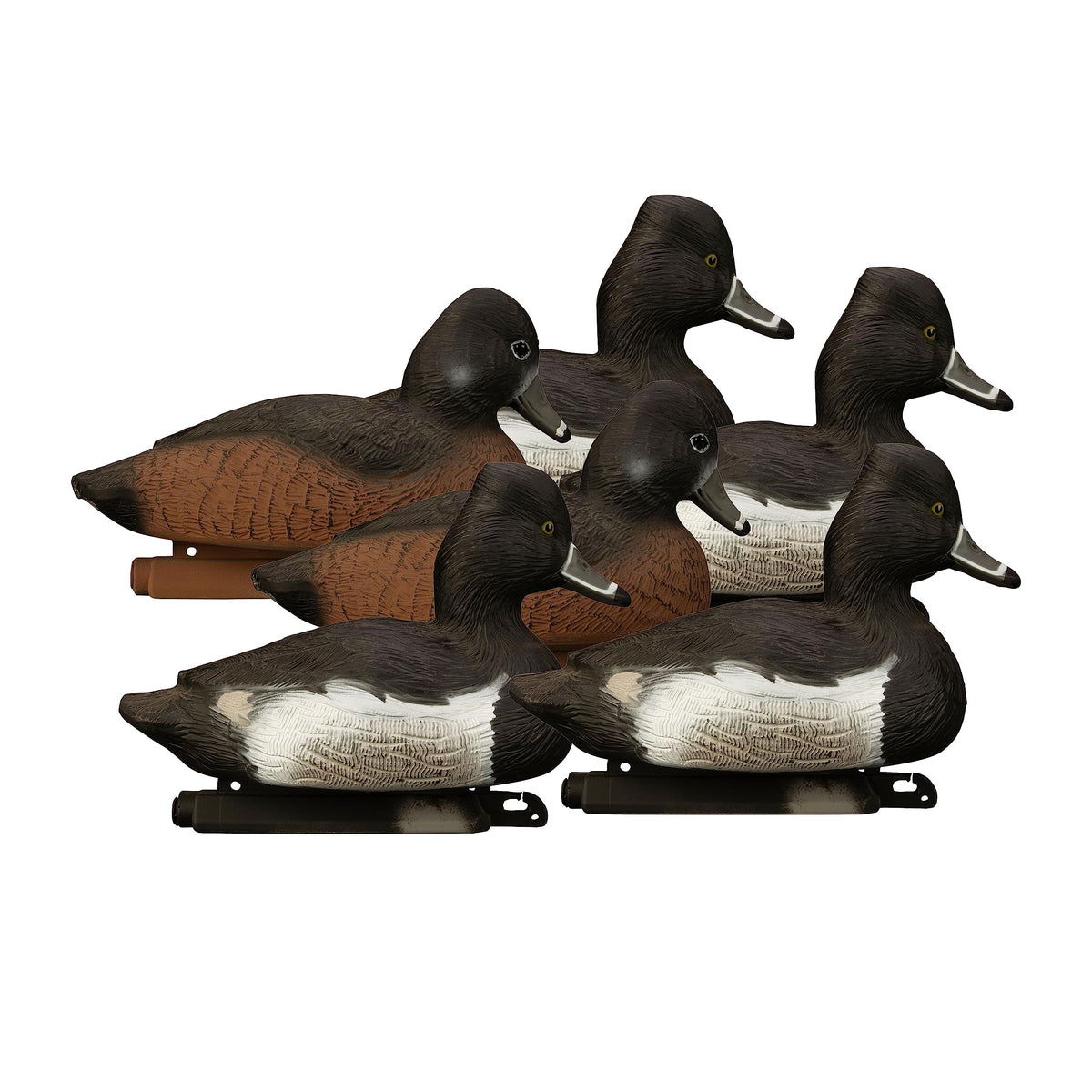 Higdon Outdoors Ringneck Floater drake upright decoy boosts visibility on open water.