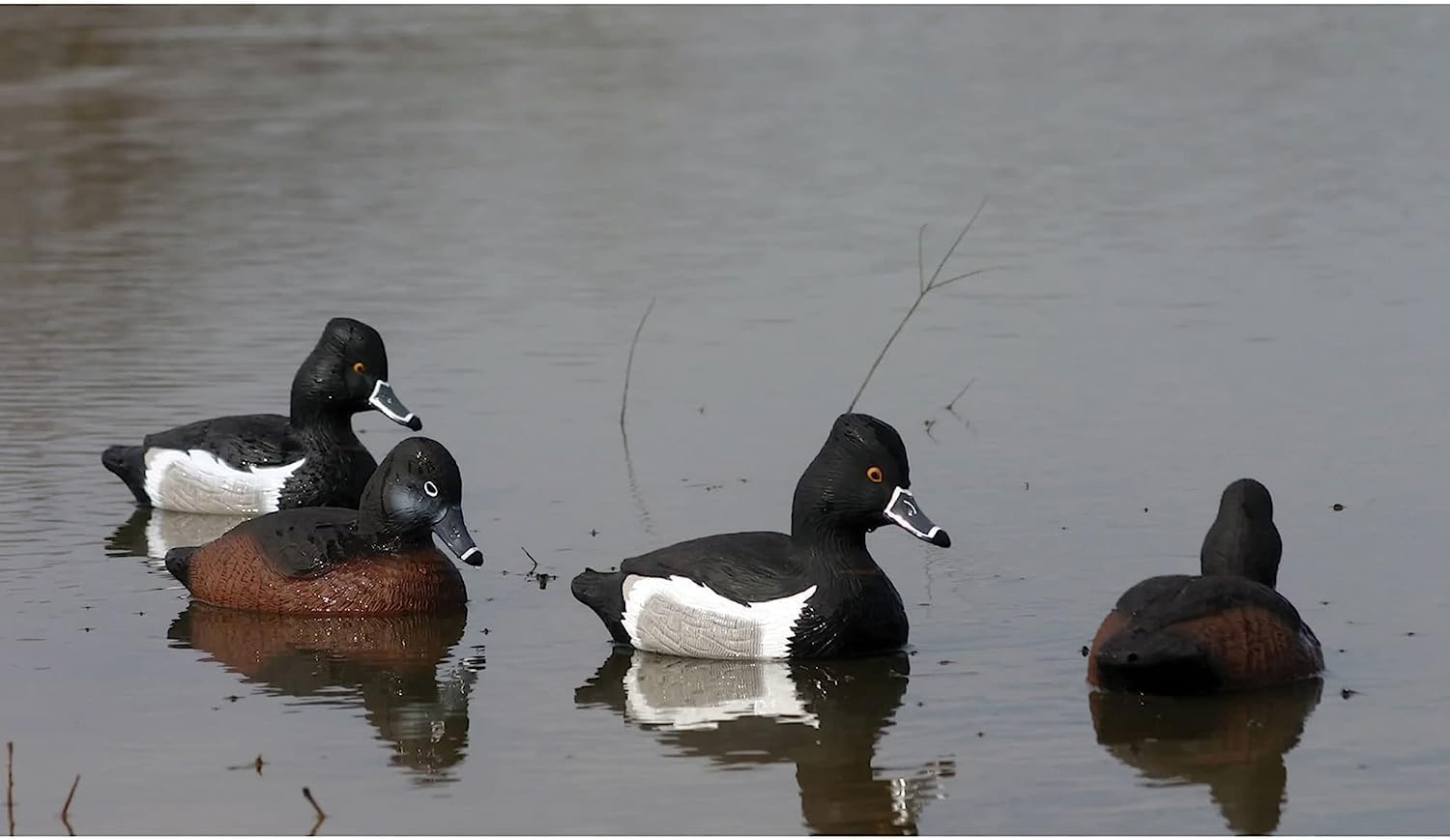 Higdon Outdoors Ringneck Floater resting hen in calm water