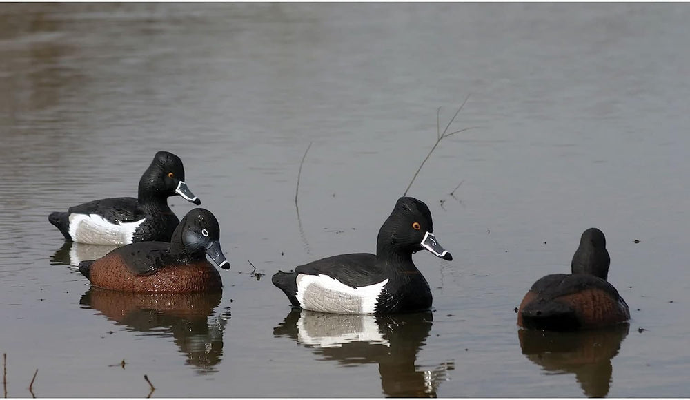Higdon Outdoors Ringneck Floater resting hen in calm water