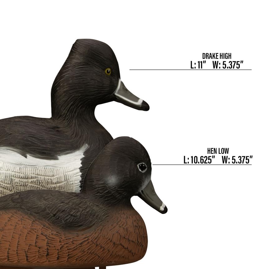 Higdon Outdoors Ringneck Floater resting hen adding balance to the spread