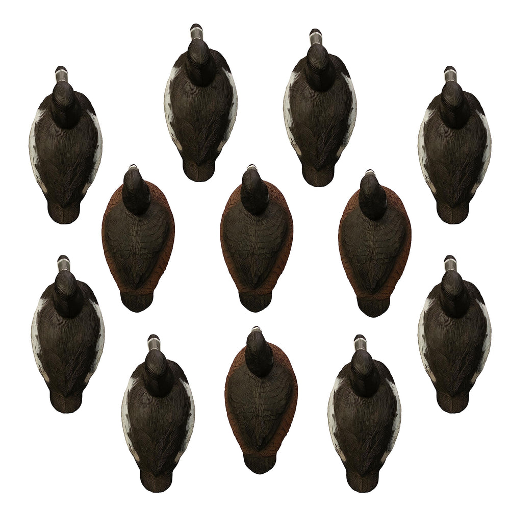 Higdon Outdoors Ringneck Floater upright drake showing wide body silhouette