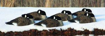 Higdon Outdoors stackable field shells simplify transport and setup.