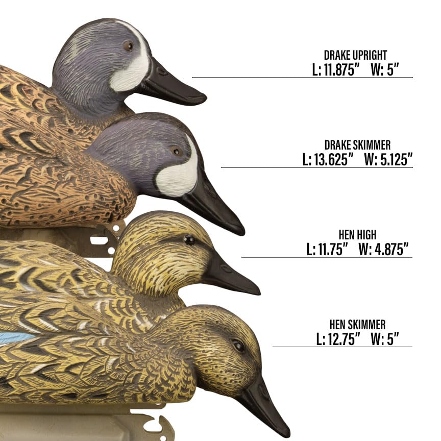 Higdon Outdoors standard blue wing teal decoy bottom view highlights construction.