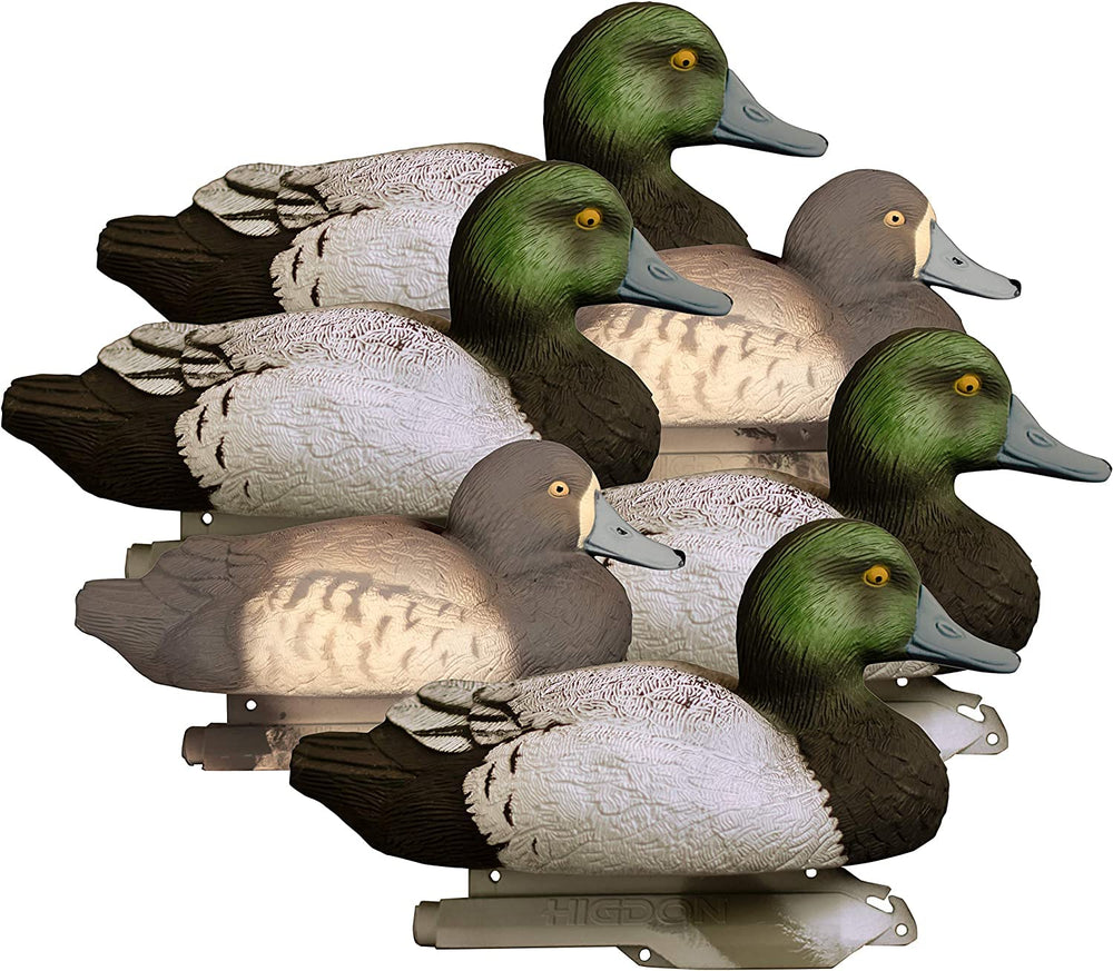 Higdon Outdoors Standard Bluebill Drake decoy upright pose for lifelike waterfowl spread