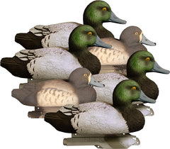 Higdon Outdoors Standard Bluebill Drake decoy upright pose for lifelike waterfowl spread