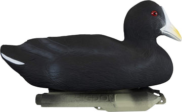 Higdon Outdoors Standard Coot Decoys on water show fringe placement for wary ducks.