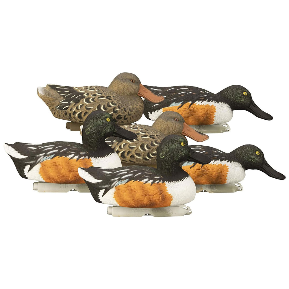 Higdon Outdoors Standard Shoveler decoy with feather-detail enhances lifelike attraction