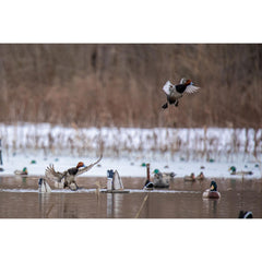 Higdon Outdoors XS Crazy Kicker decoy shallow water operation for tight ponds