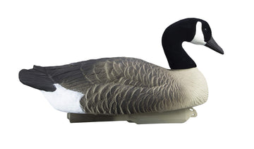 Higdon rich color and feather detail enhances close-range appeal