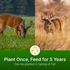 Hit List Seed Ladino/Red/Crimson clover visual highlighting protein-rich forage