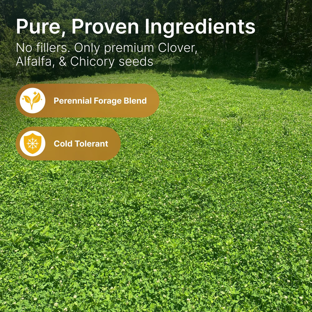Hit List Seed perennial food-plot mix thriving in field rows for year-round deer nutrition