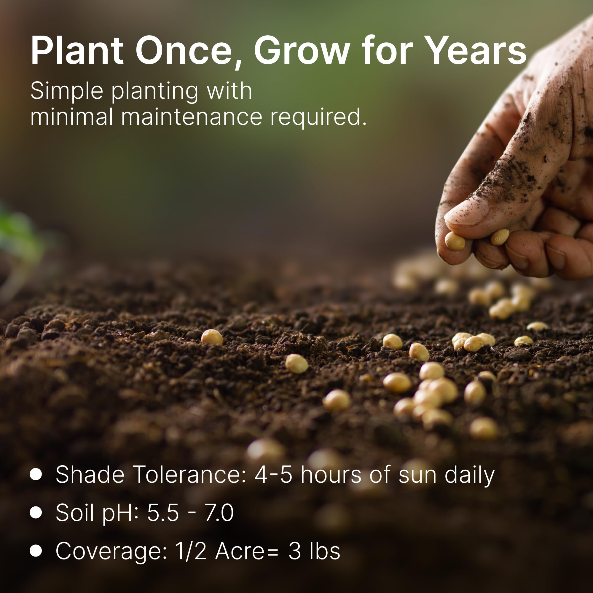 Hit List Seed spring-fall-planting image demonstrates year-round planting in spring and fall.