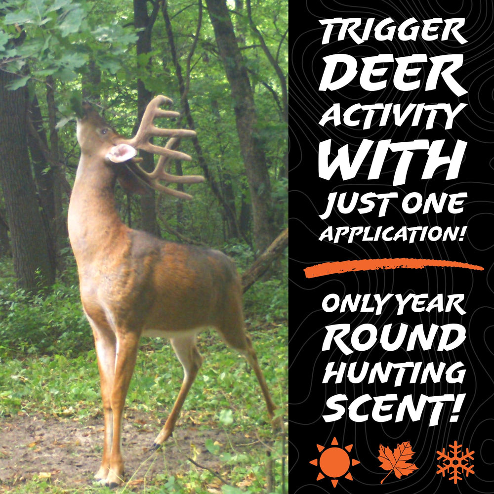 HODAG AllSeason Scent wick and dripper arrangement illustrates continuous attractant delivery.