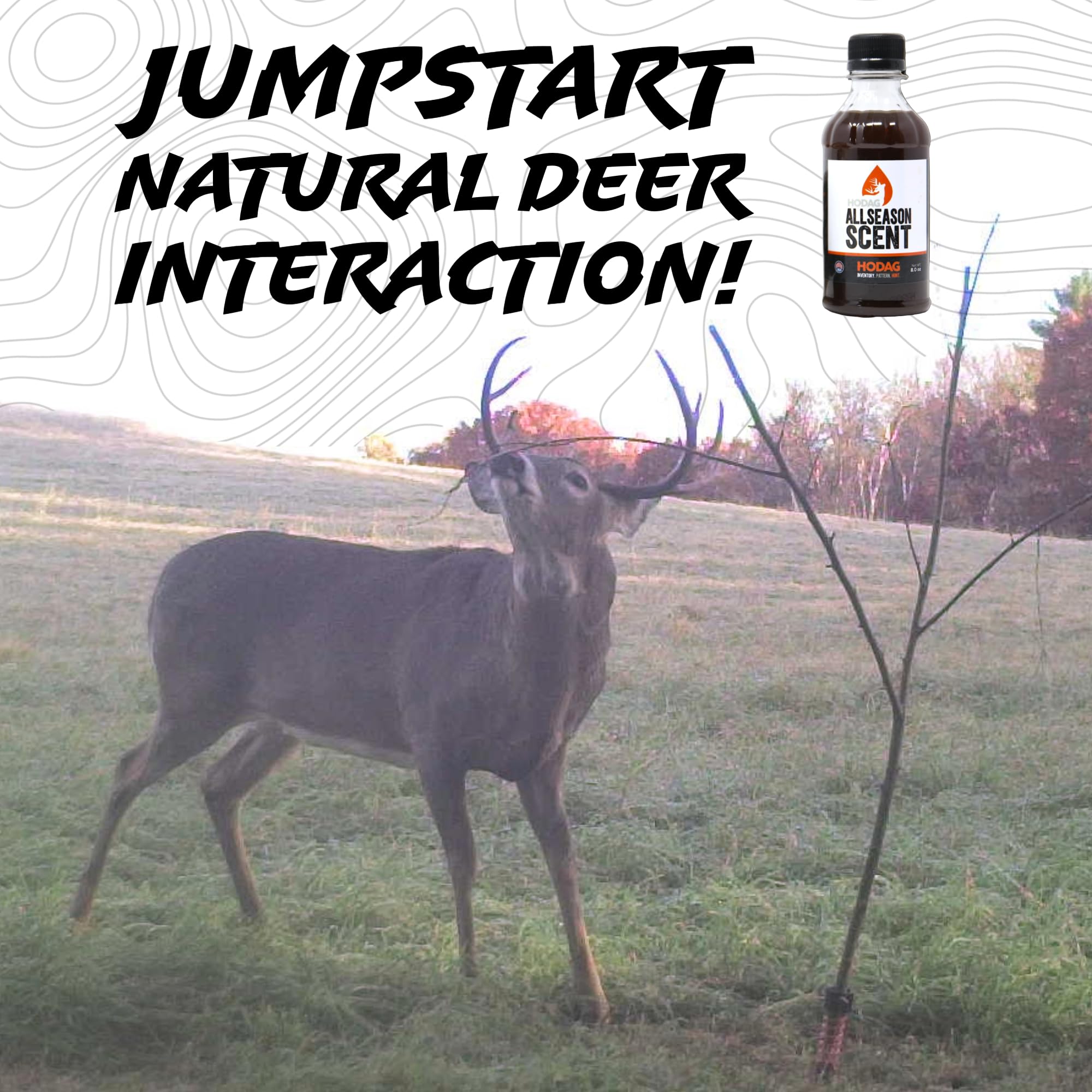 HODAG AllSeason Scent woodland-stand presentation conveys year-round lure in the field.