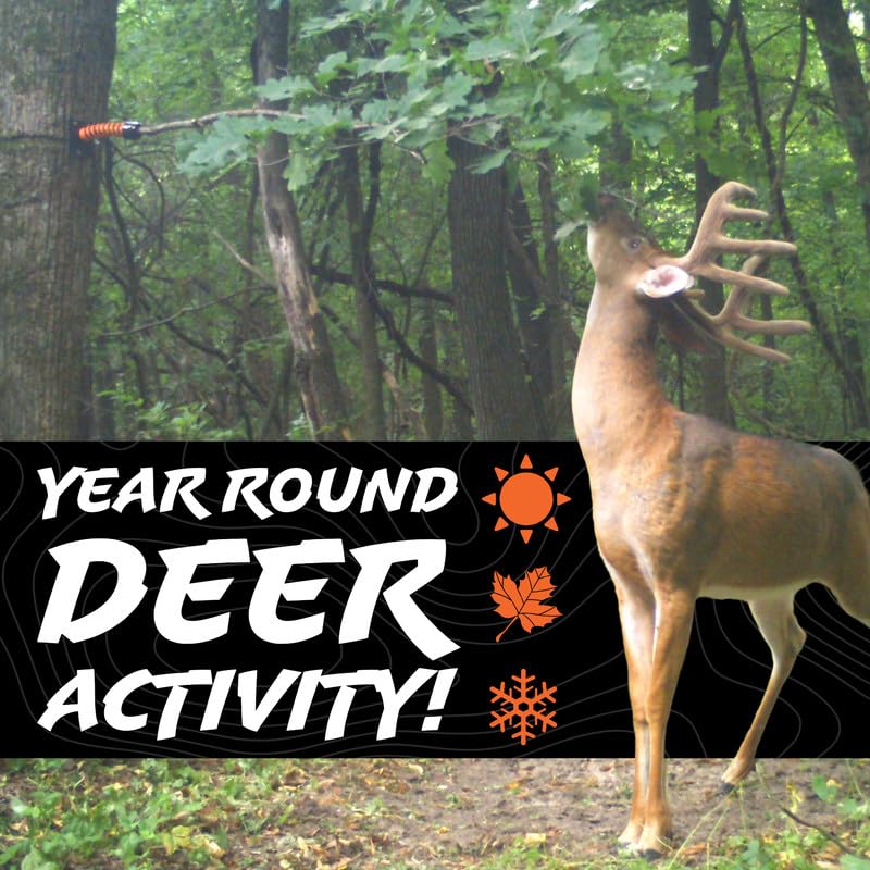 HODAG Licking Branch allseason scent drum close-up highlighting year-round attractant