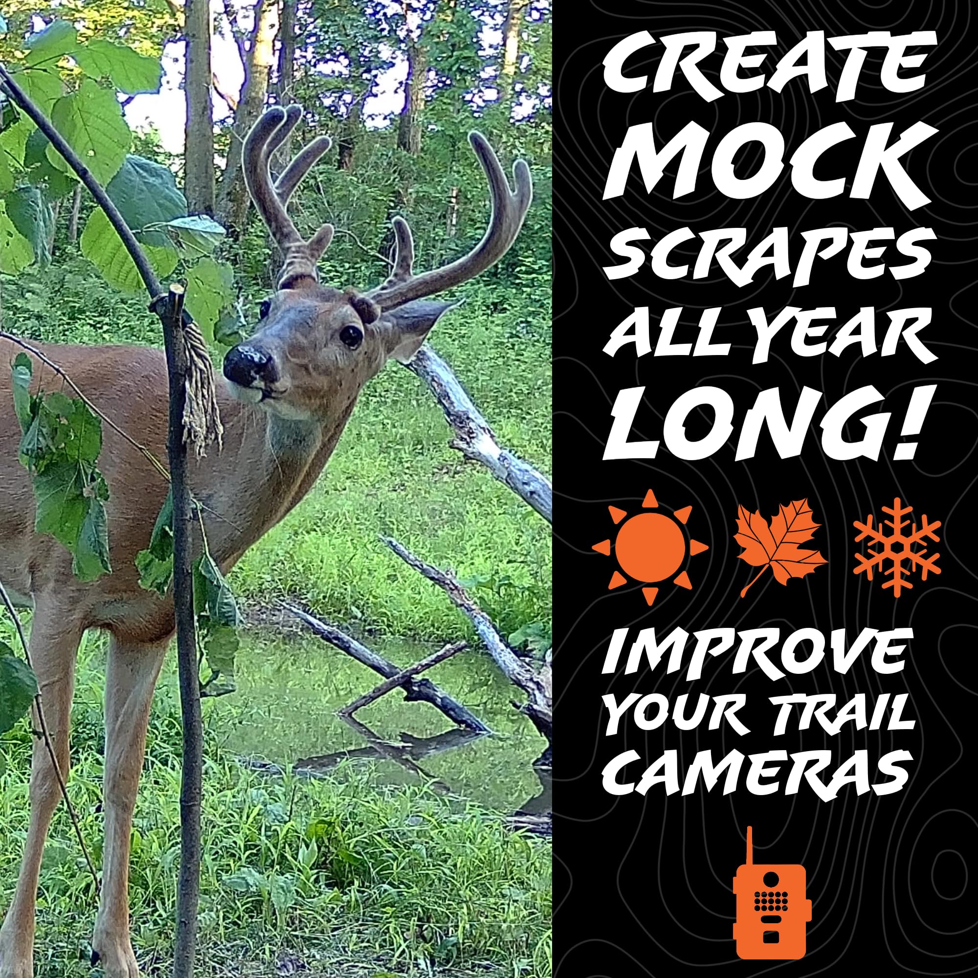 Scent-wick absorbing deer lure with hemp scent