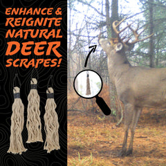 Hodag tassels ready for buck or doe urine and estrus
