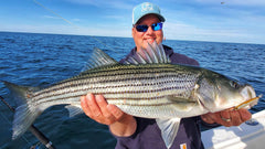 Hogy Epoxy Jig Lure durable epoxy coating resists chips in saltwater