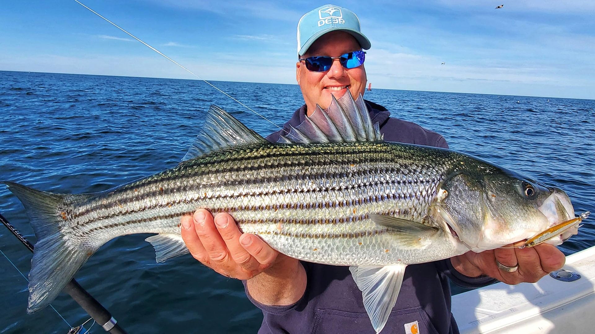 Hogy epoxy jig recreates forage minnow action with holographic flash