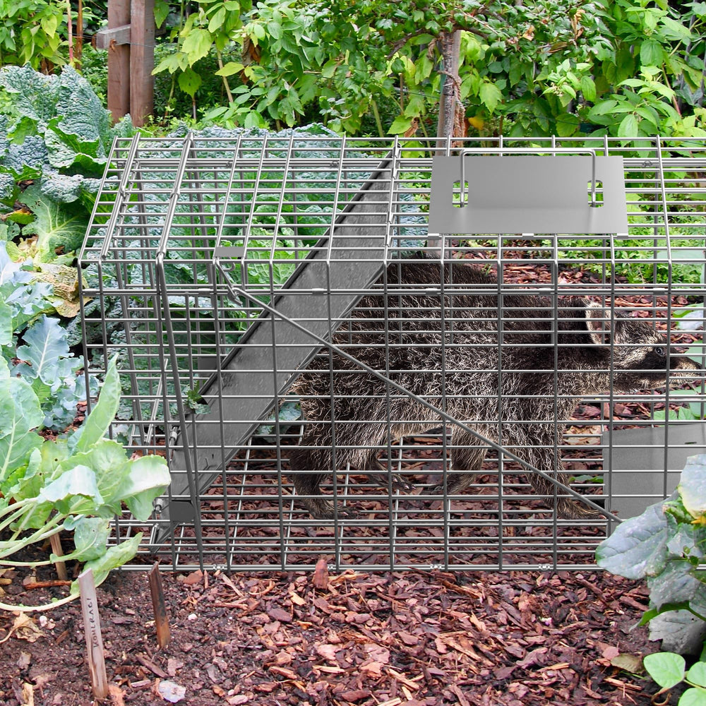 HomGarden galvanized cage resists rust for outdoor longevity.