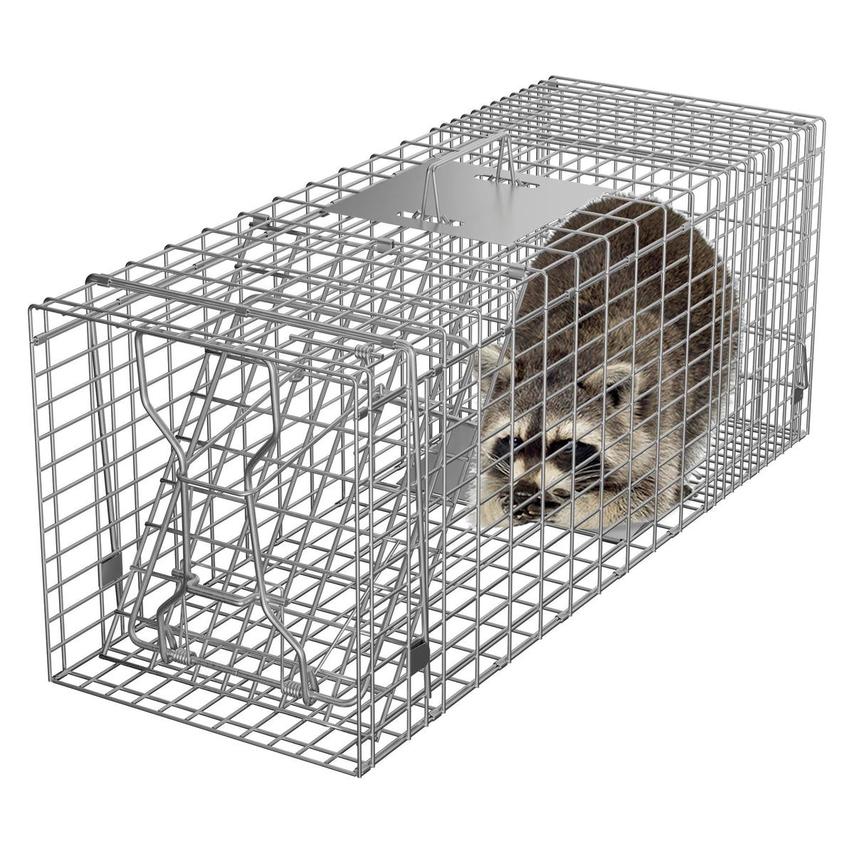 HomGarden live animal trap with iron door for humane capture and release.