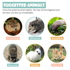 HomGarden multi-species design fits rabbits, raccoons, or opossums.