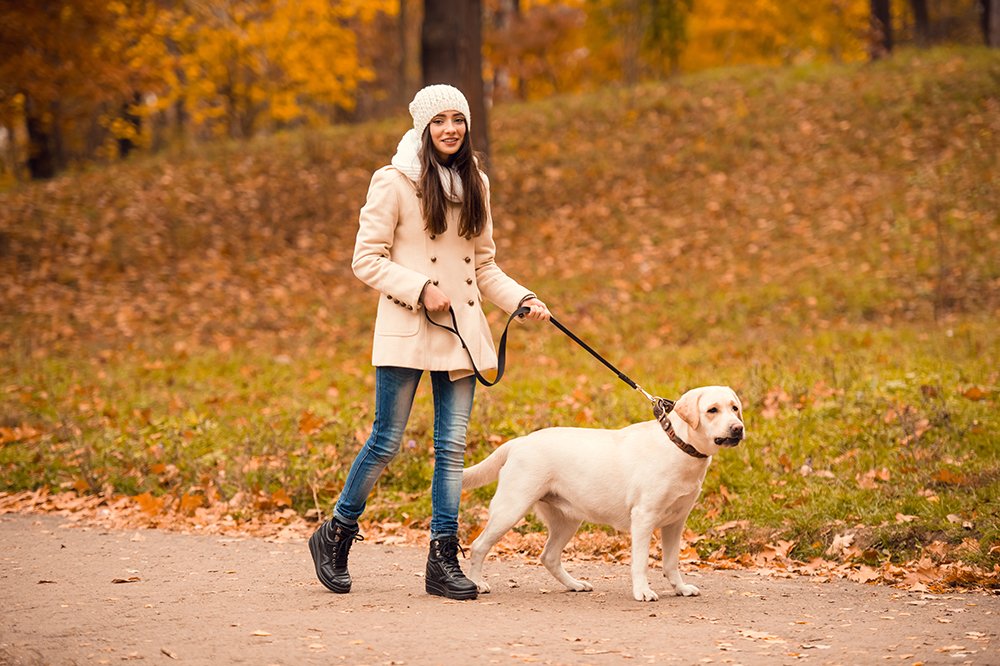 HotHands toe warmers odorless heat for all-day comfort during outdoor workouts.